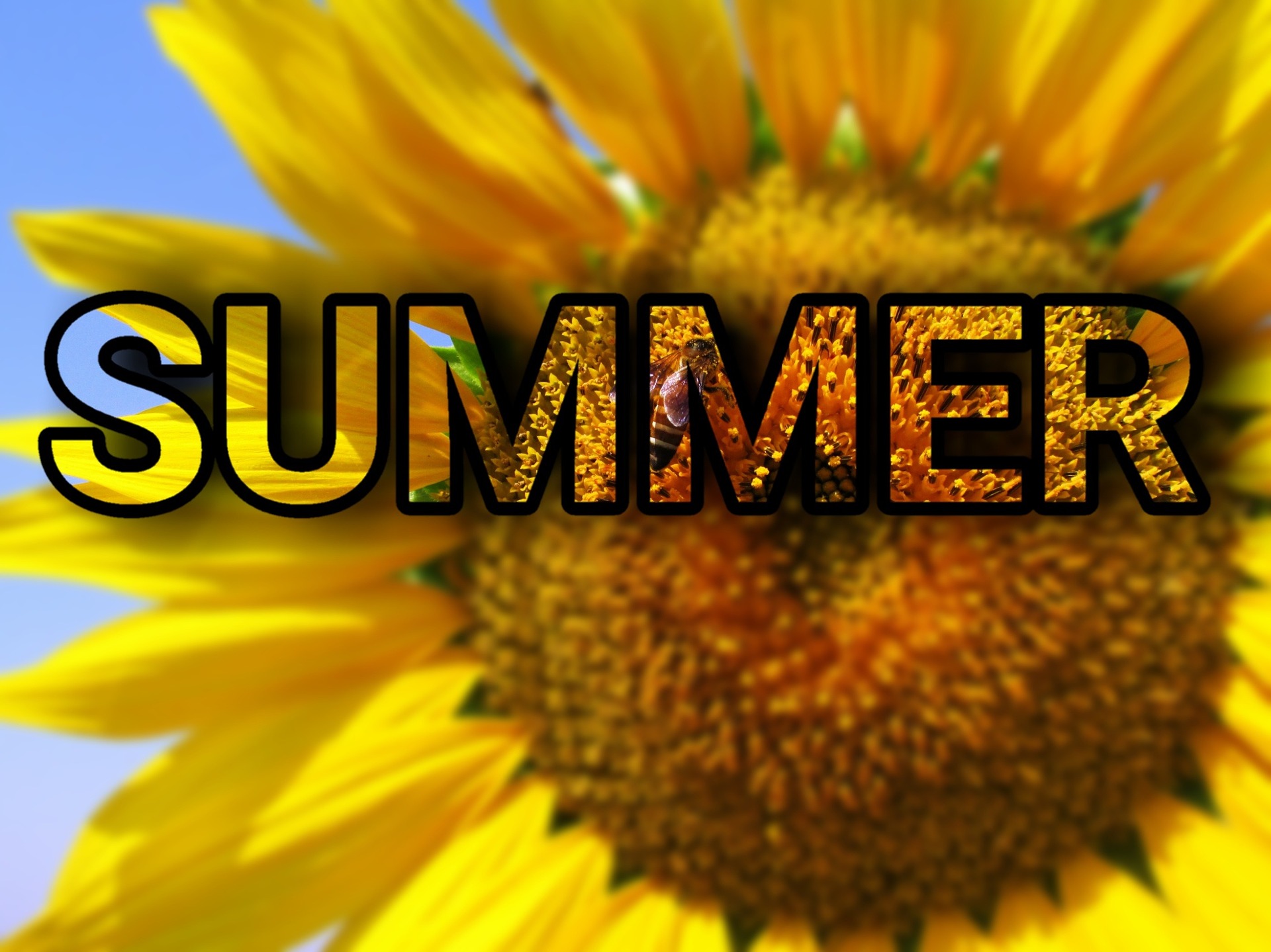 Summer 1226362 1920