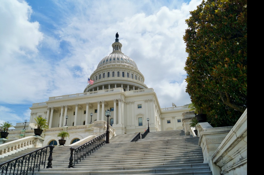 Government Public Administration